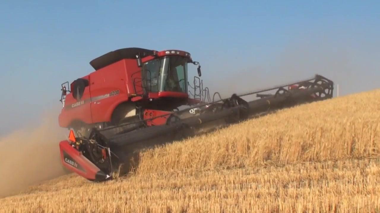 Steel baler tooth E41833, E90235, AFH 202304 Customized design 3mm, 5mm 6mm steel torsion pick-up spring tine(图8)